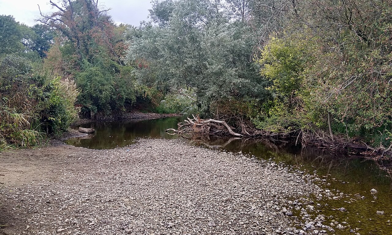 The gravel bed of the River Mole in Surrey in August 2026, with isolated pools of water among exposed stones and overhanging trees