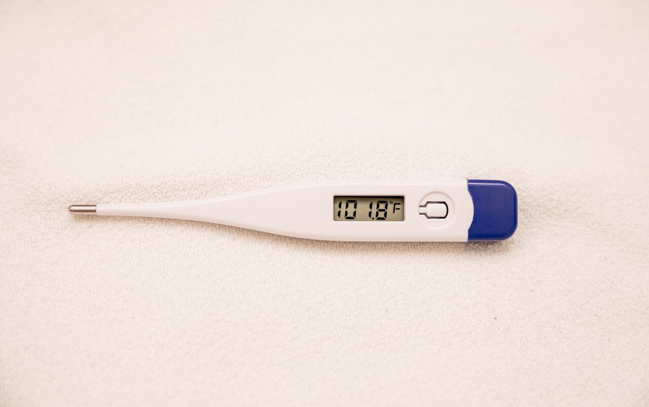 A white digital clinical thermometer with a blue cap lying on a cream towel, its display showing a fever reading