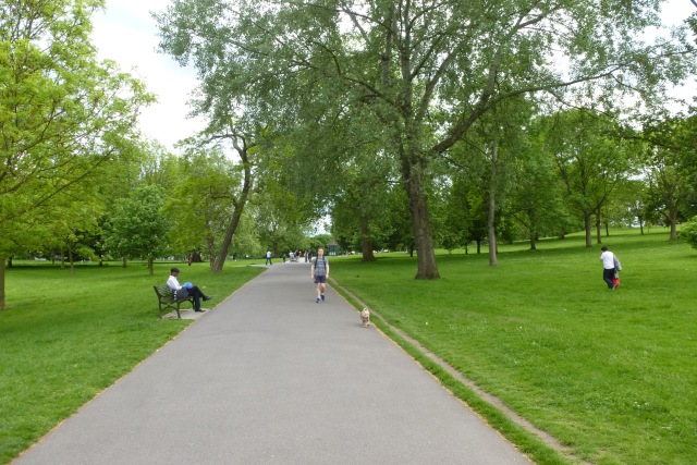 A person walking a dog along a paved path through a park, with someone resting on a bench to one side