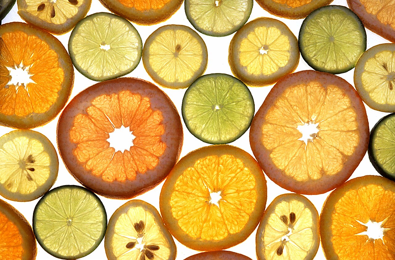 Backlit slices of oranges, lemons and limes arranged on a white background