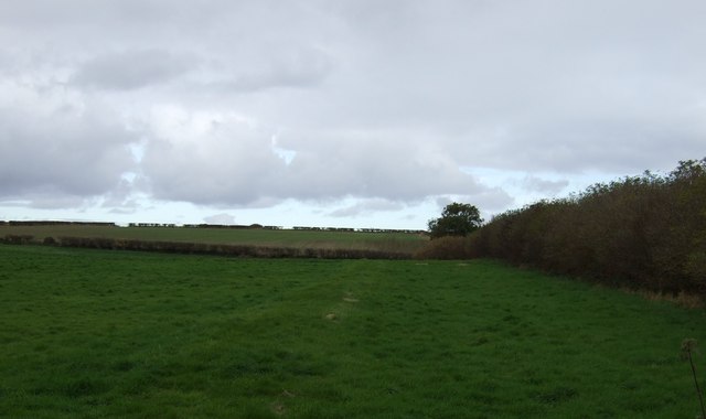 Farmland bordered by a hedgerow in the English countryside