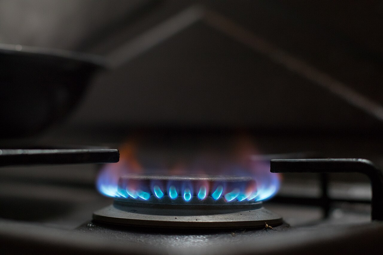 A gas hob burner lit with a ring of small blue flames.