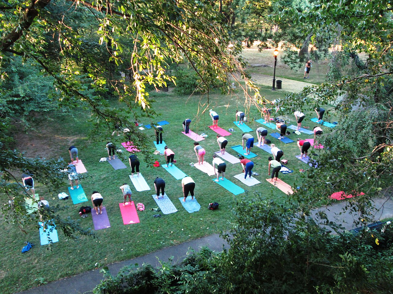 A group practising yoga and calming stretches outdoors in a park at sunset