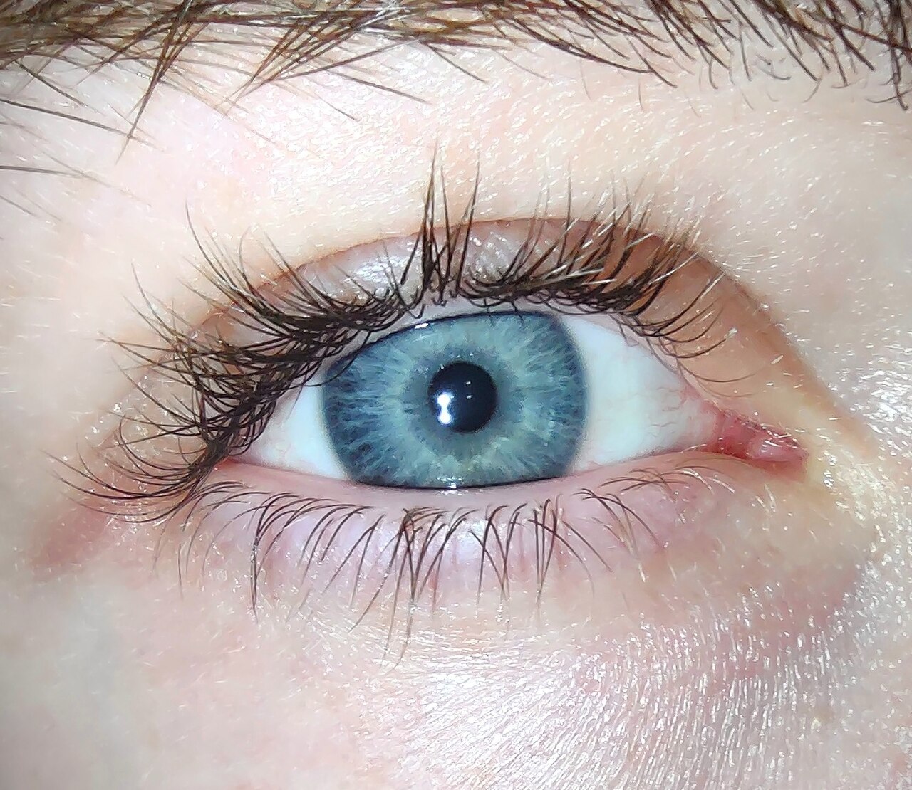 Close-up of a blue-grey human eye with lashes and eyelid