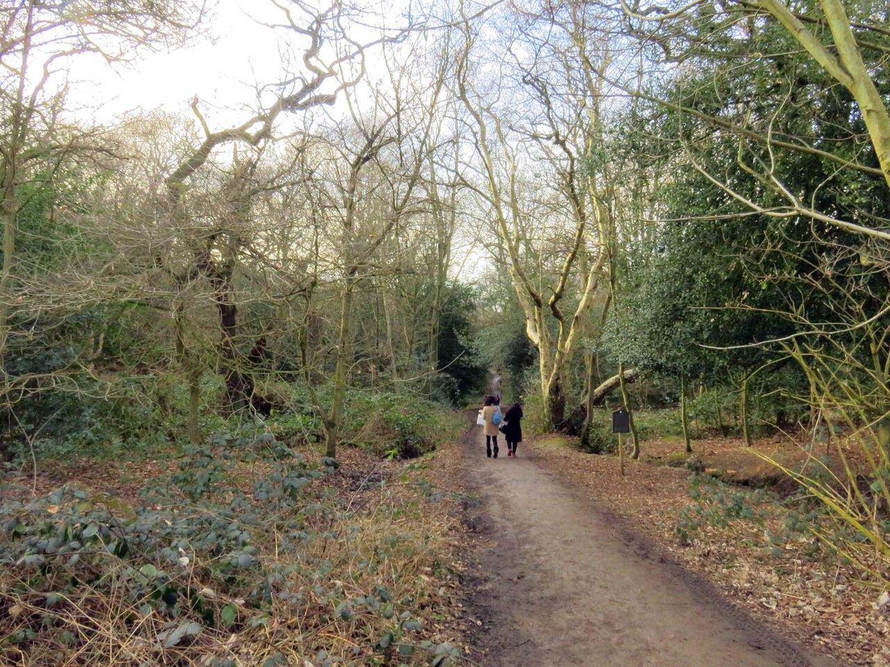 Two people walking along a wooded footpath at Wimbledon Common, London