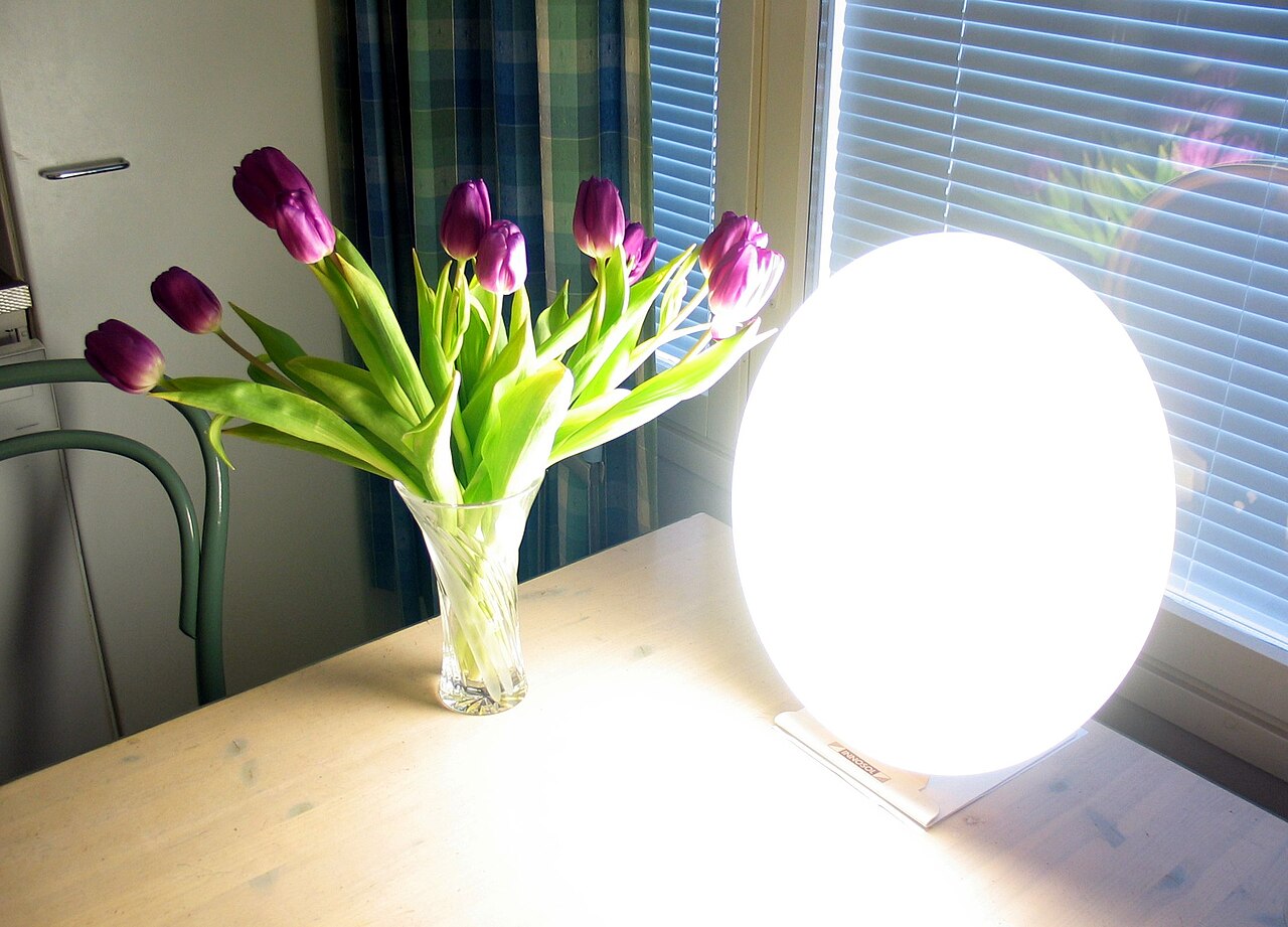 A round, brightly glowing light therapy lamp on a wooden table beside a vase of purple tulips, with a window behind