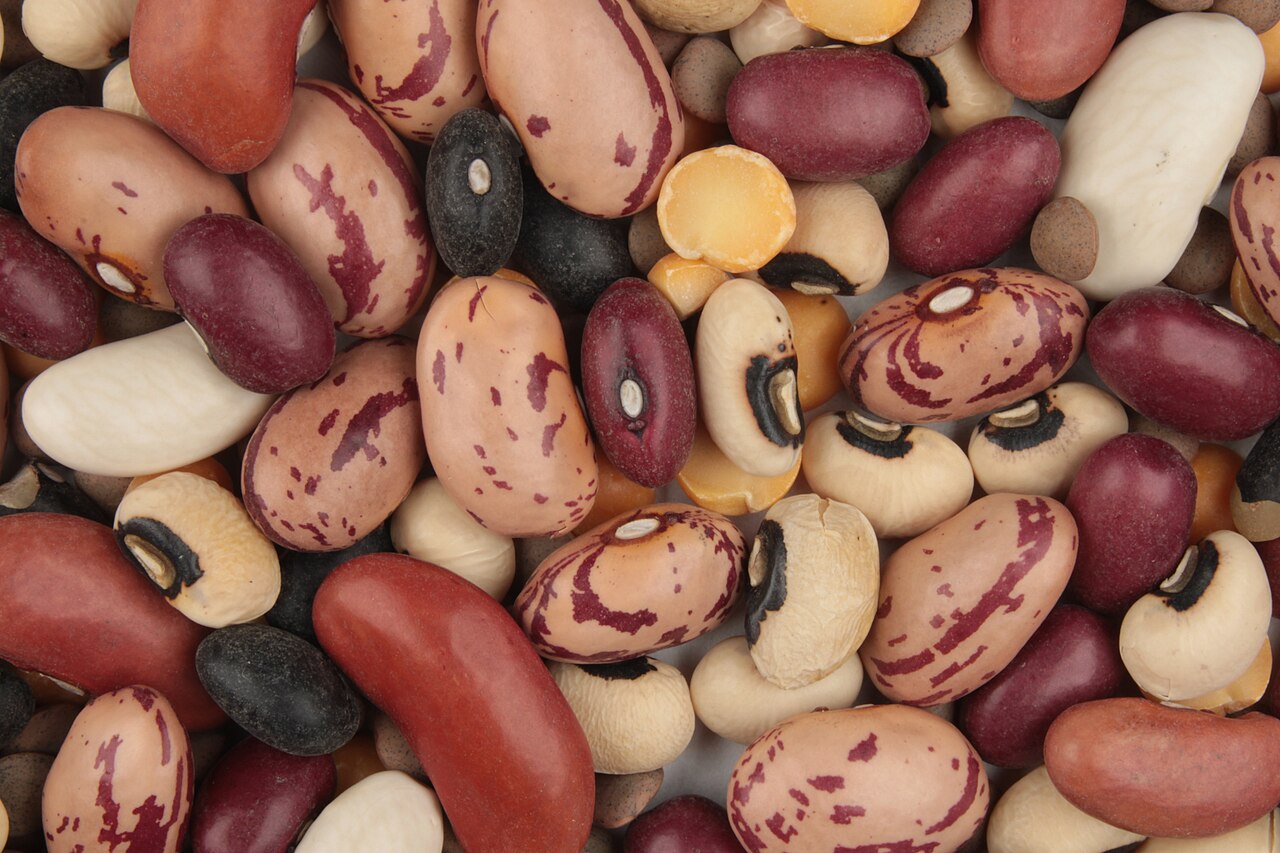 Close-up of dried beans, peas and lentils of several colours